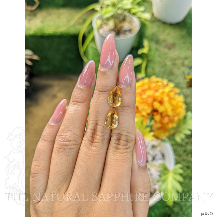 4.04 Ct.Tw. Citrine Pair from Brazil