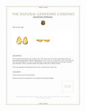 3.67&nbsp;Ct.Tw.Total Carat Weight Citrine Pair from Brazil Appraisal