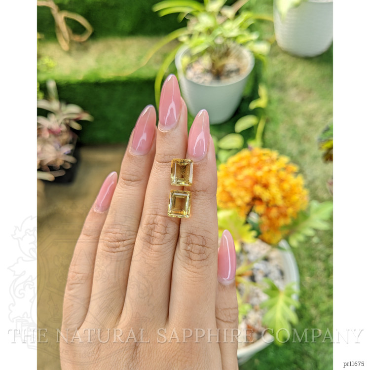 7.91 Ct.Tw. Citrine Pair from Brazil