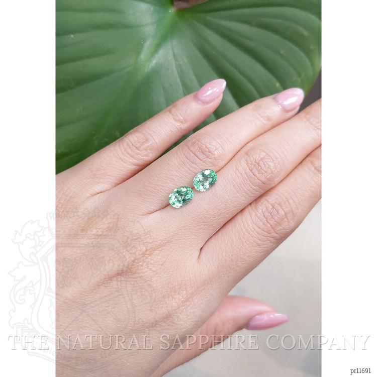 2.82 Ct.Tw. Paraiba Tourmaline Pair from Africa