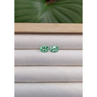 2.82&nbsp;Ct.Tw.Total Carat Weight Paraiba Tourmaline Pair from Africa Life Style