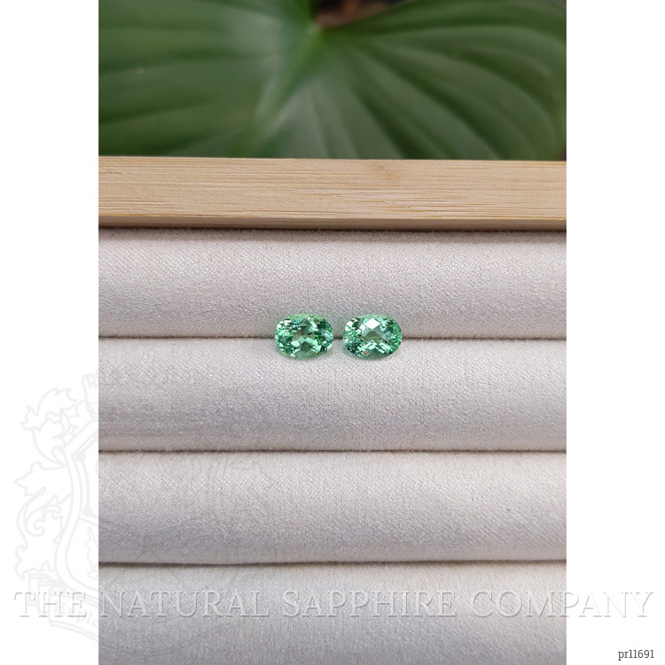 2.82 Ct.Tw. Paraiba Tourmaline Pair from Africa