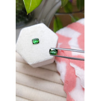 2.90 Ct.Tw.Total Carat Weight Tourmaline Pair from Mozambique Life Style