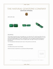 3.53 Ct.Tw.Total Carat Weight Green Tourmaline Pair from Mozambique Appraisal