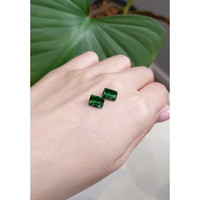 3.53&nbsp;Ct.Tw.Total Carat Weight Tourmaline Pair from Mozambique Life Style