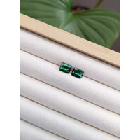 3.53 Ct.Tw.Total Carat Weight Tourmaline Pair from Mozambique Life Style