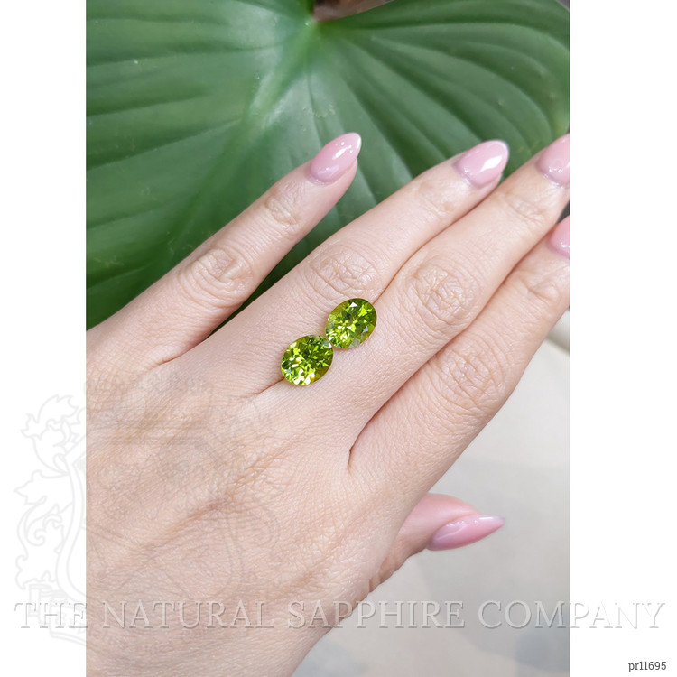 5.39 Ct.Tw. Peridot Pair from Burma (Myanmar)
