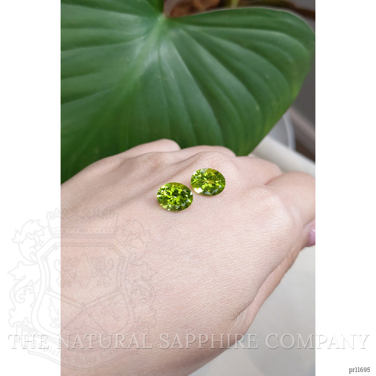 5.39 Ct.Tw. Peridot Pair from Burma (Myanmar)