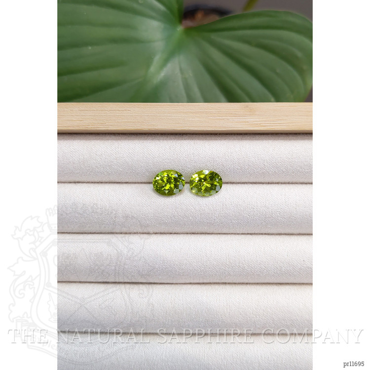 5.39 Ct.Tw. Peridot Pair from Burma (Myanmar)