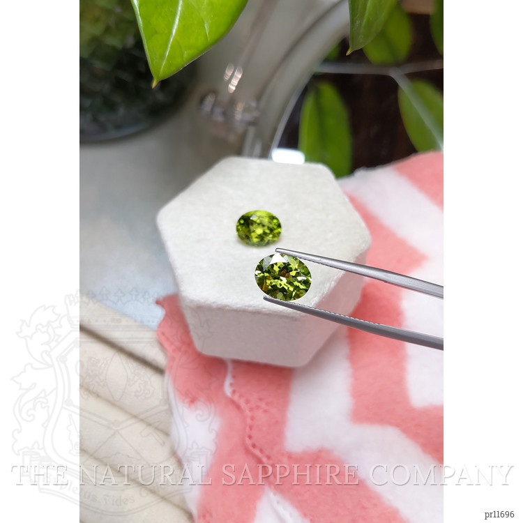 5.42 Ct.Tw. Peridot Pair from Burma (Myanmar)