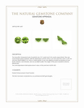 5.22 Ct.Tw.Total Carat Weight Peridot Pair from Burma (Myanmar) Appraisal