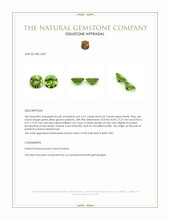 5.22 Ct.Tw.Total Carat Weight Green (Lime Green) Peridot Pair from Burma (Myanmar) Appraisal