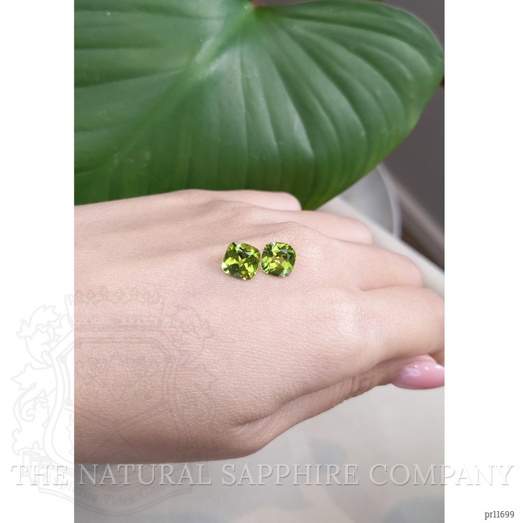 4.07 Ct.Tw. Peridot Pair from Burma (Myanmar)