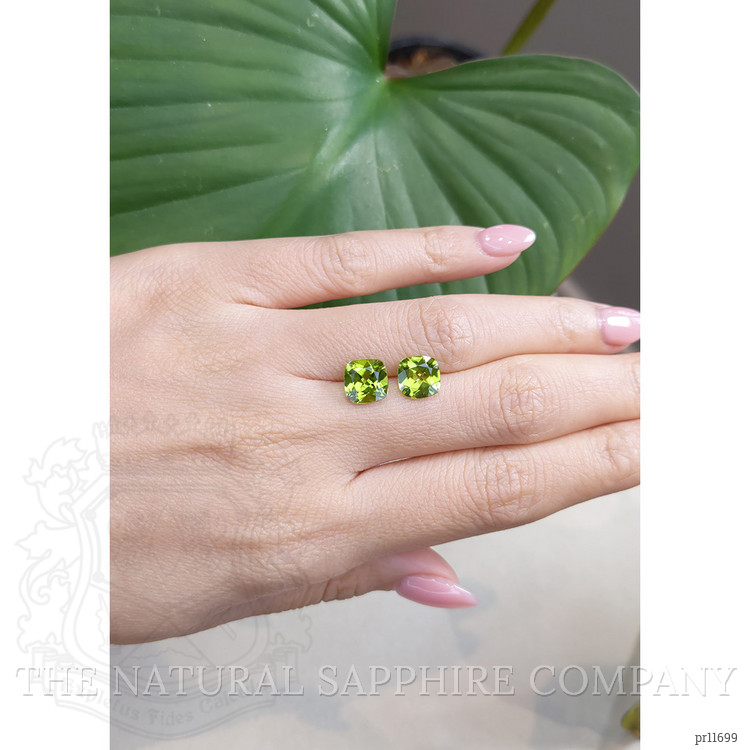 4.07 Ct.Tw. Peridot Pair from Burma (Myanmar)