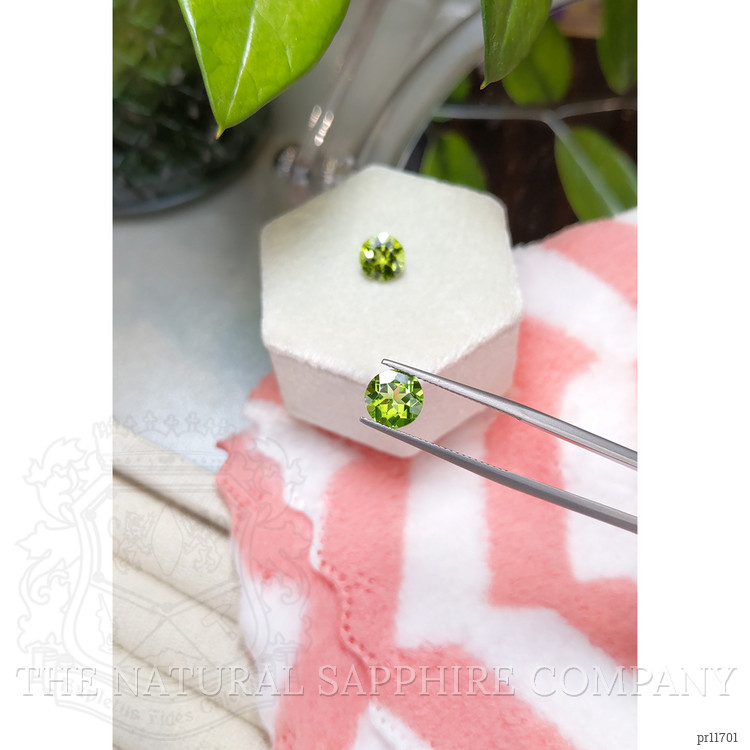 3.62 Ct.Tw. Peridot Pair from Burma (Myanmar)