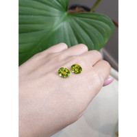 5.54&nbsp;Ct.Tw.Total Carat Weight Peridot Pair from Burma (Myanmar) Life Style