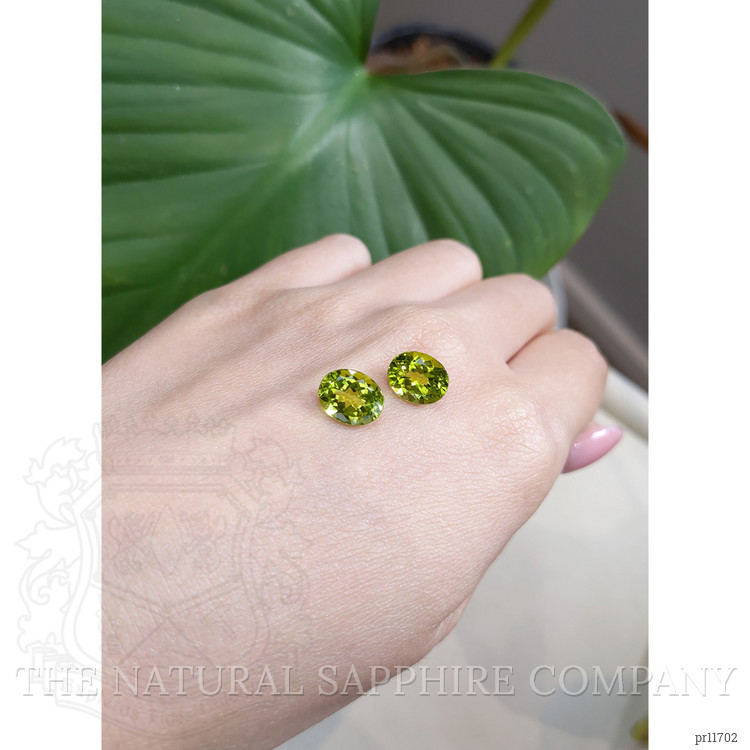 5.54 Ct.Tw. Peridot Pair from Burma (Myanmar)
