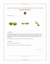 4.89 Ct.Tw.Total Carat Weight Green Peridot Pair from Burma (Myanmar) Appraisal