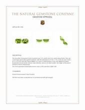 4.89 Ct.Tw.Total Carat Weight Green (Lime Green) Peridot Pair from Burma (Myanmar) Appraisal