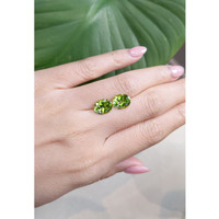 4.89&nbsp;Ct.Tw.Total Carat Weight Peridot Pair from Burma (Myanmar) Life Style