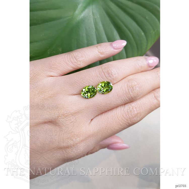 4.89 Ct.Tw. Peridot Pair from Burma (Myanmar)