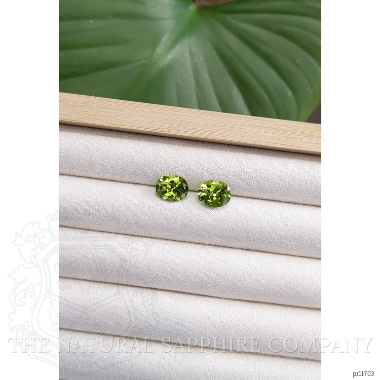 4.89 Ct.Tw. Peridot Pair from Burma (Myanmar)