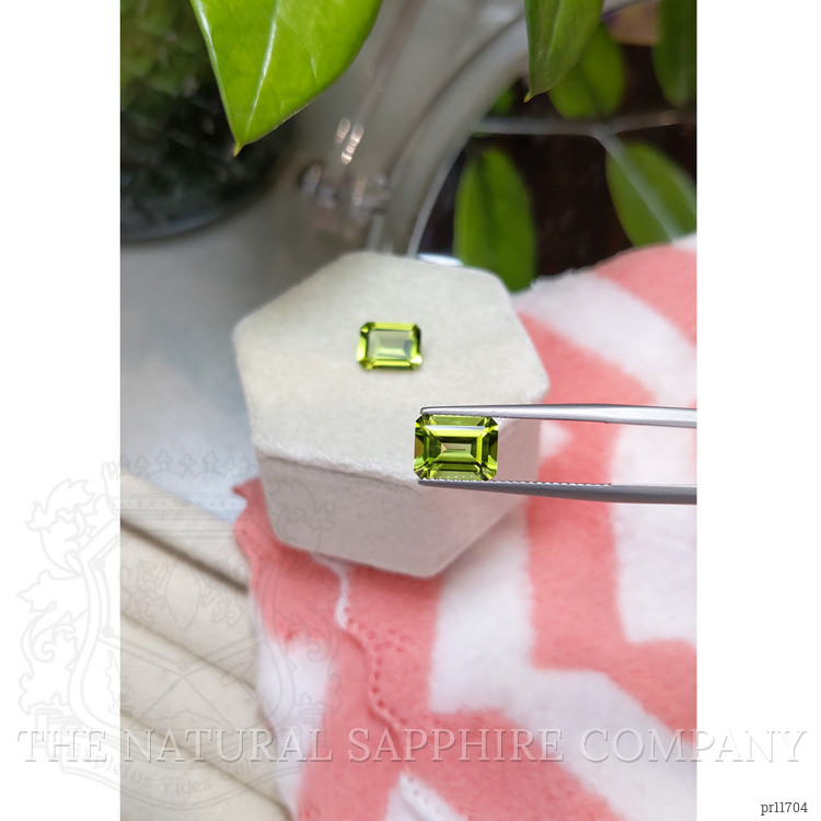 4.34 Ct.Tw. Peridot Pair from Burma (Myanmar)