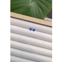 1.14&nbsp;Ct.Tw.Total Carat Weight Blue Sapphire Pair from Ceylon (Sri Lanka) Life Style