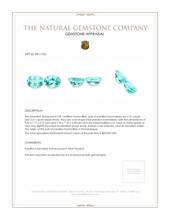 4.61 Ct.Tw.Total Carat Weight Blue Paraiba Tourmaline Pair from Mozambique Appraisal