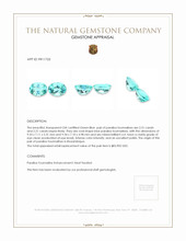 4.62 Ct.Tw.Total Carat Weight Paraiba Tourmaline Pair from Mozambique Appraisal