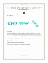 4.61 Ct.Tw.Total Carat Weight Paraiba Tourmaline Pair from Mozambique Appraisal