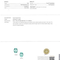 4.62 Ct.Tw.Total Carat Weight Paraiba Tourmaline Pair from Mozambique Scan Report