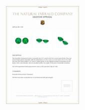 1.21 Ct.Tw.Total Carat Weight Emerald Pair from Zambia Appraisal