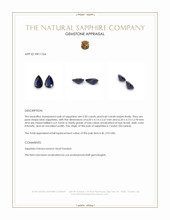 1.10 Ct.Tw.Total Carat Weight Blue Sapphire Pair from Ceylon (Sri Lanka) Appraisal