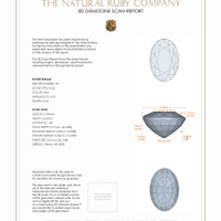 Jewelry 3 D Scan Report
