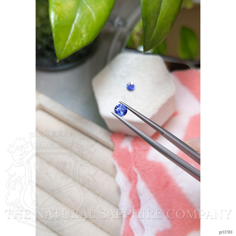 0.98 Ct.Tw. Blue Sapphire Pair from Ceylon (Sri Lanka)