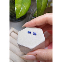 1.33&nbsp;Ct.Tw.Total Carat Weight Blue Sapphire Pair from Ceylon (Sri Lanka) Life Style