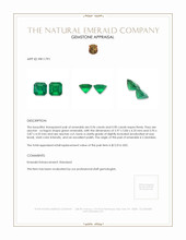 1.86 Ct.Tw.Total Carat Weight Emerald Pair from Colombia Appraisal