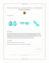 3.58 Ct.Tw.Total Carat Weight Electric Blue Paraiba Tourmaline Pair from Mozambique Appraisal