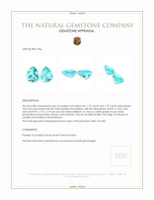 3.58 Ct.Tw.Total Carat Weight Paraiba Tourmaline Pair from Mozambique Appraisal