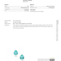 3.58 Ct.Tw.Total Carat Weight Electric Blue Paraiba Tourmaline Pair from Mozambique Pdf