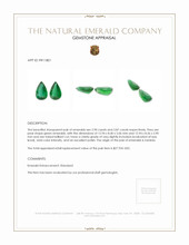 6.77 Ct.Tw.Total Carat Weight Emerald Pair from Zambia Appraisal