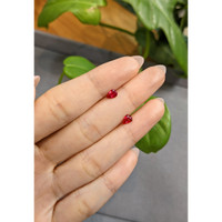 0.78&nbsp;Ct.Tw.Total Carat Weight Ruby Pair from Burma (Myanmar) Life Style
