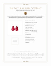 Jewelry Scan Report