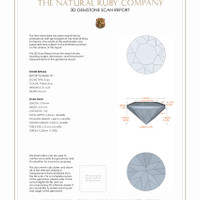 Jewelry 3 D Scan Report