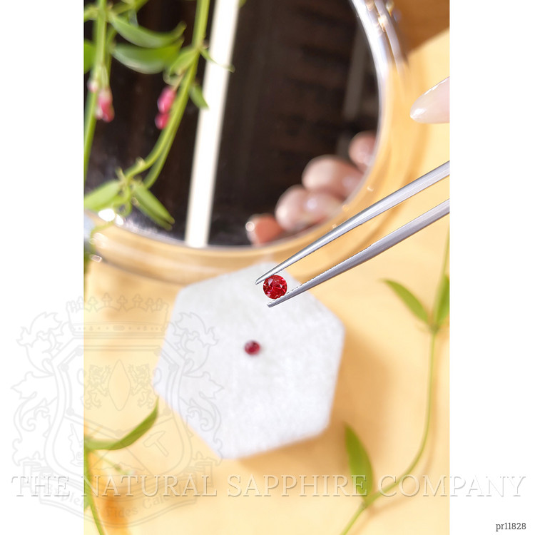 0.68 Ct.Tw. Ruby Pair from Mozambique