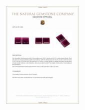 83.06&nbsp;Ct.Tw.Total Carat Weight Tourmaline Pair from Mozambique Appraisal