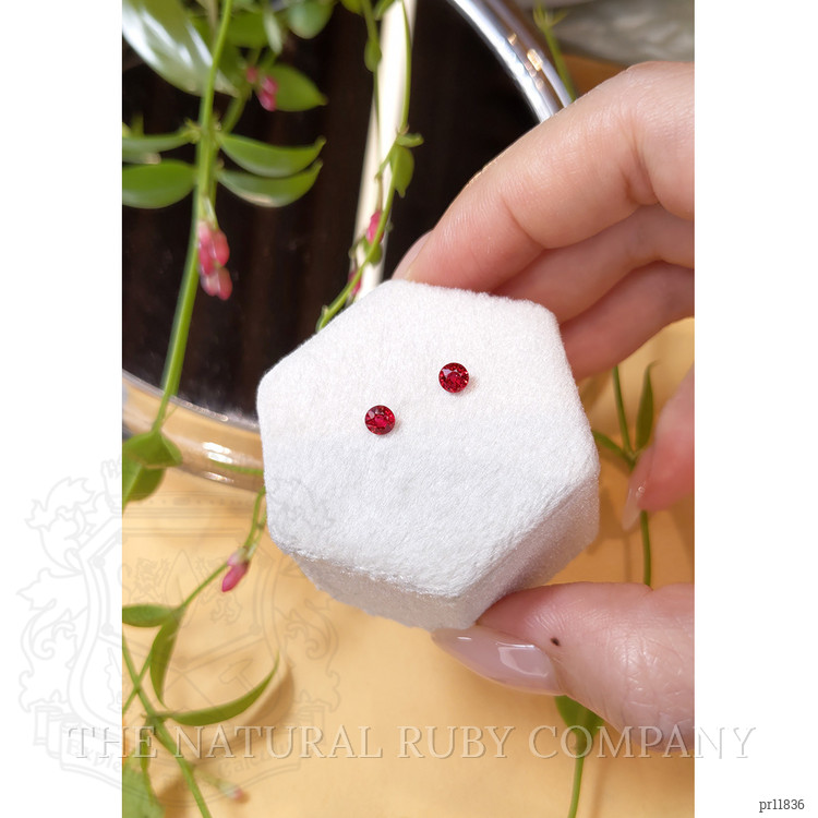 0.79 Ct.Tw. Ruby Pair from Thailand