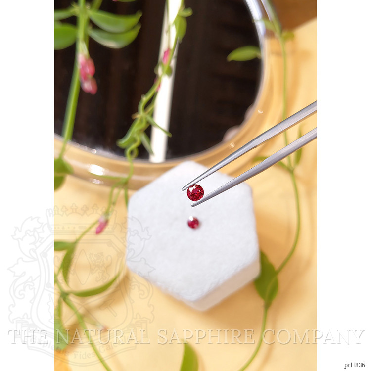 0.79 Ct.Tw. Ruby Pair from Thailand