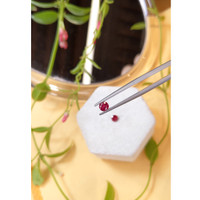 0.84 Ct.Tw.Total Carat Weight Ruby Pair from Thailand Life Style